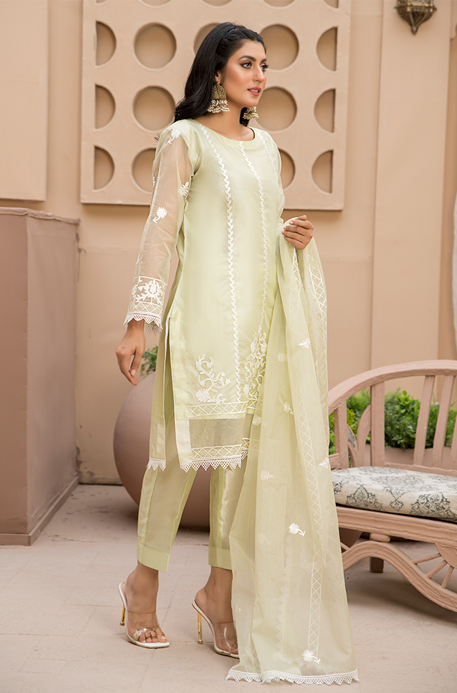Organza Embroidered RGH-3C