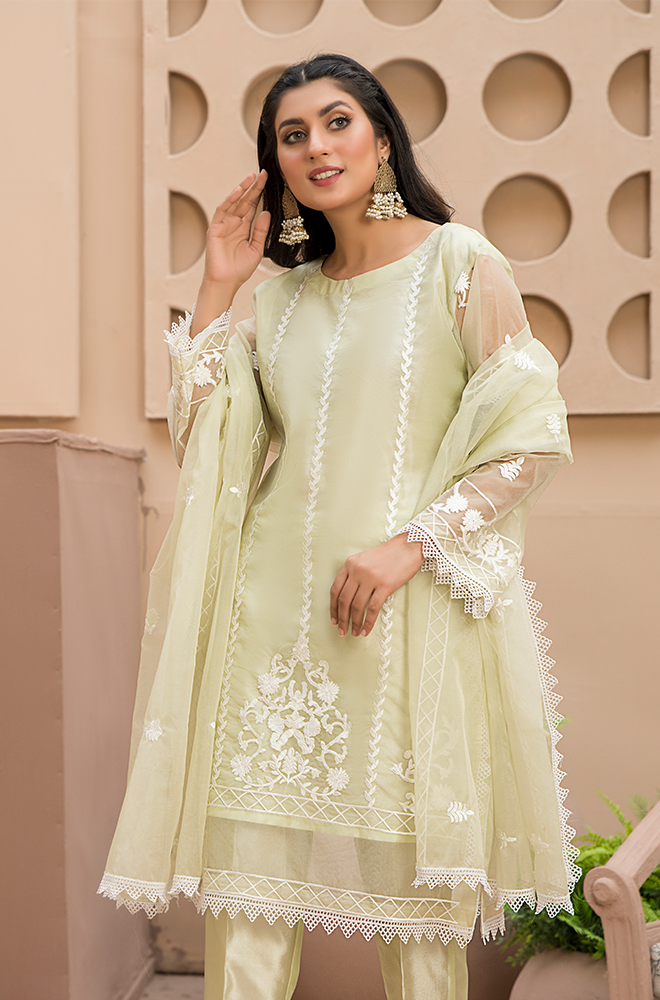 Organza Embroidered RGH-3C