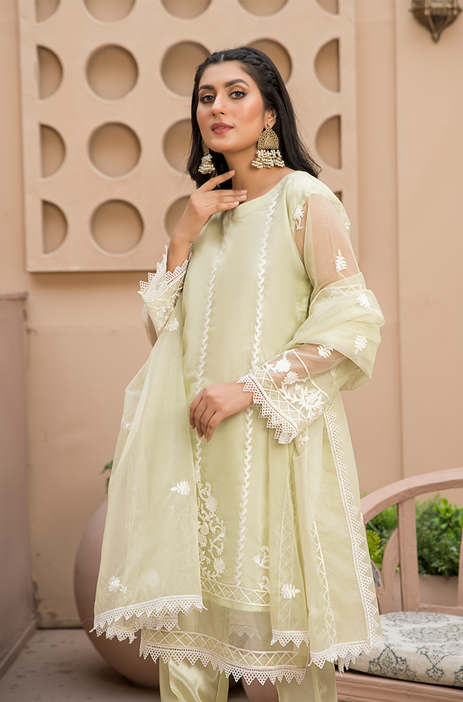 Organza Embroidered RGH-3C