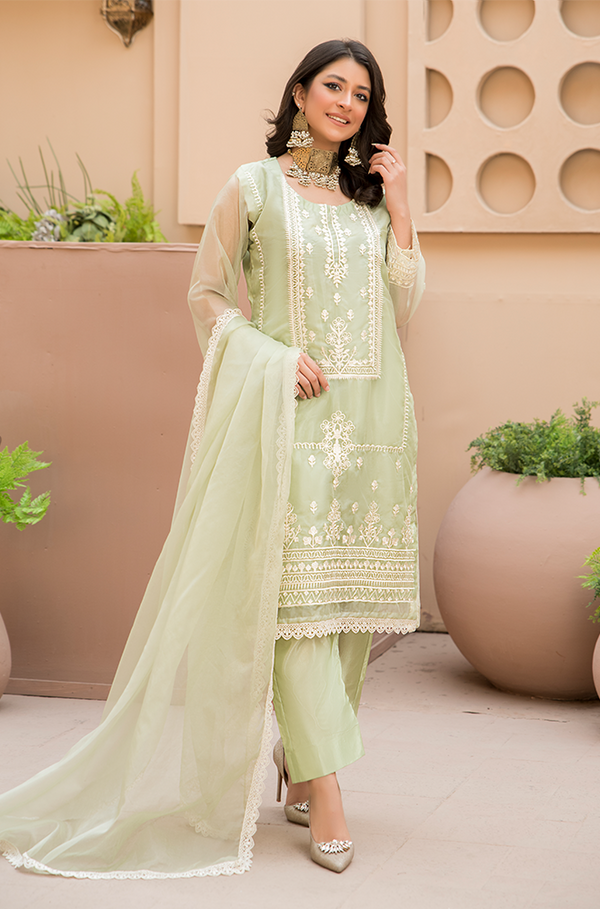 Rang-e-Haya Unstitched 3-Piece Organza Embroidered RGH-7A